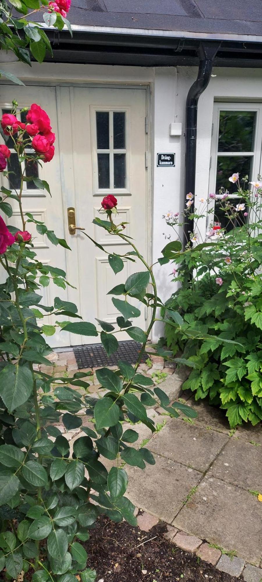 Bjerred B&B Bjärred 外观 照片