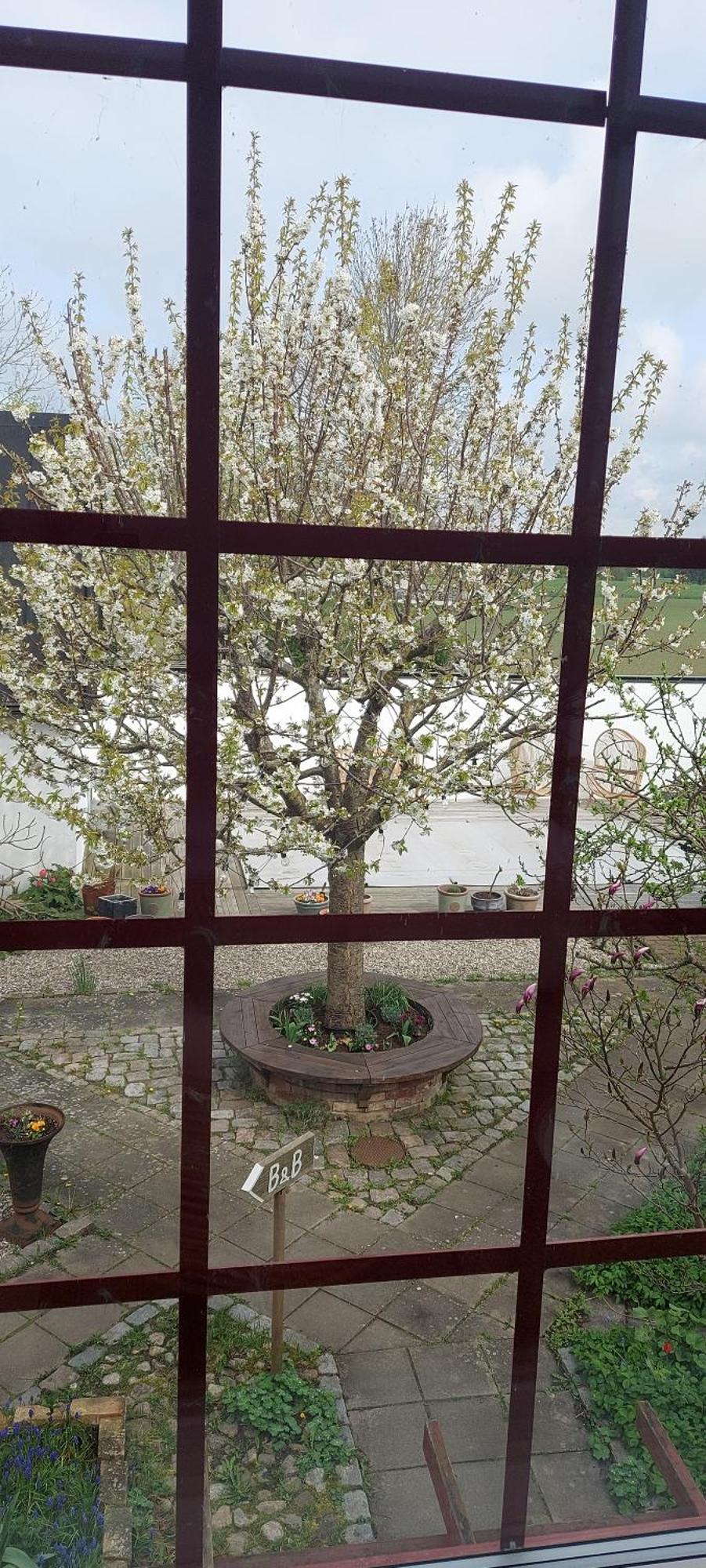 Bjerred B&B Bjärred 外观 照片